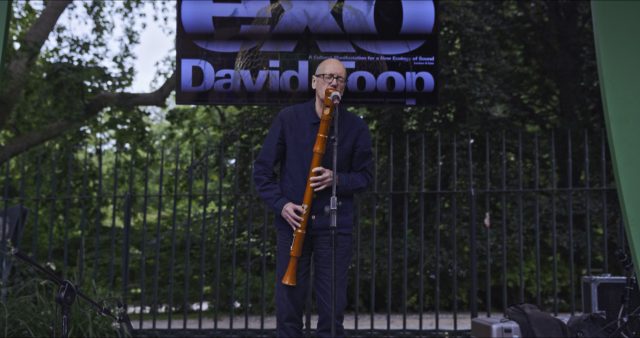 DAVID TOOP